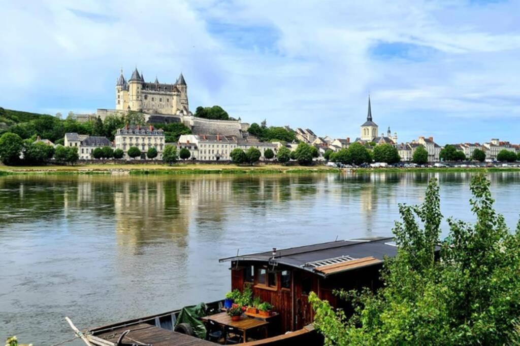 Loire Et Chateau, Hyper Centre, Vue Loire, Linge Inclus, 3eme Etage * Saumur